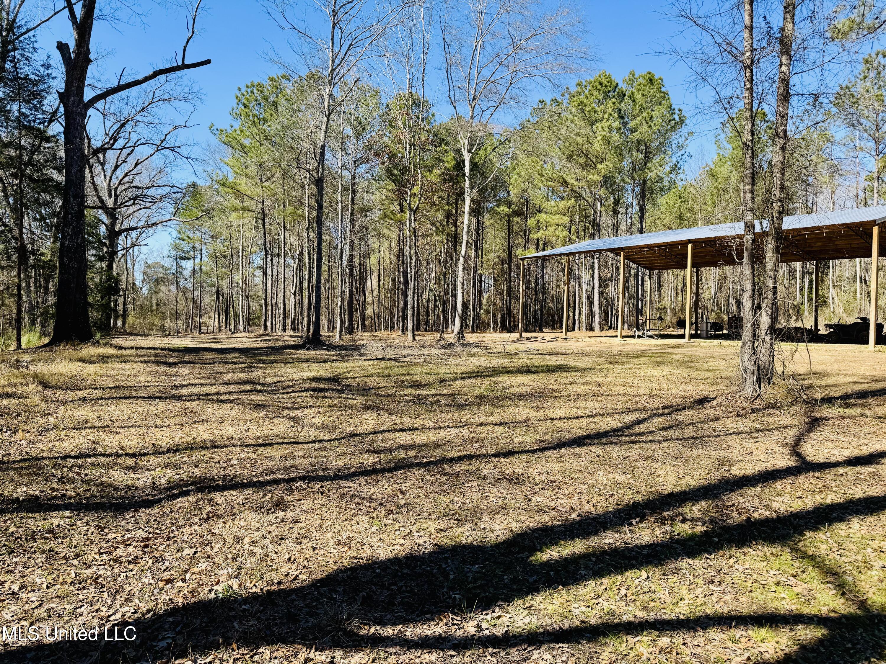 104 Mamie Mangum Road Florence, MS 39073 - Photo 9 of 11 IMG_8496