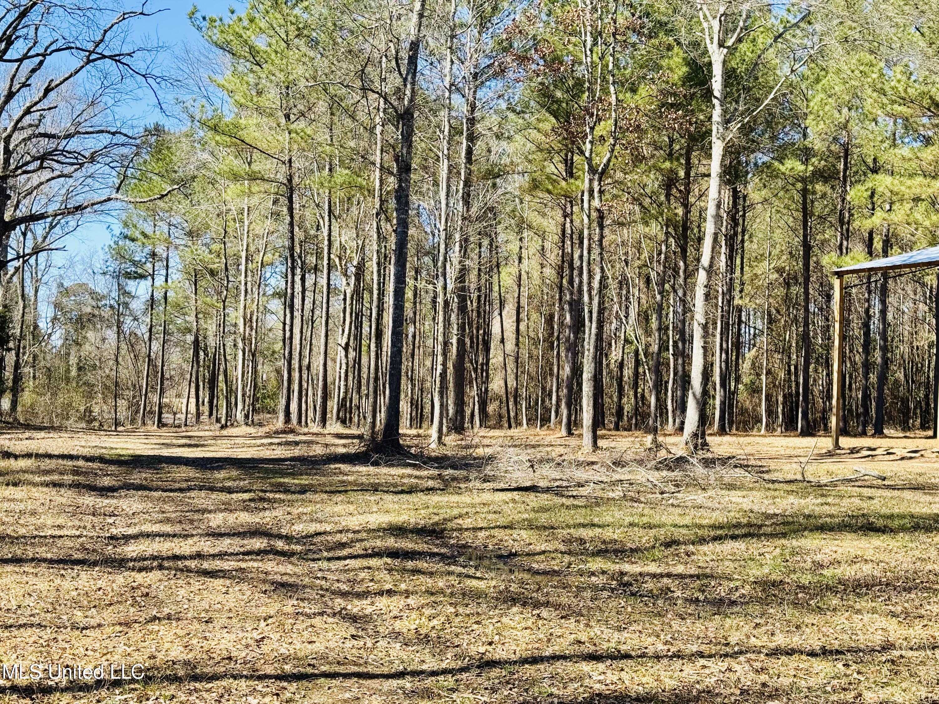 104 Mamie Mangum Road Florence, MS 39073 - Photo 10 of 11 IMG_8495