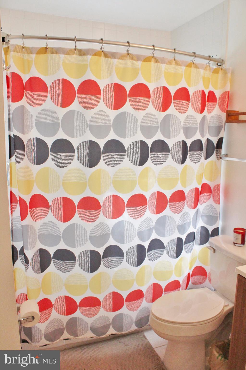 8008 Frye Road Alexandria, VA 22309 - Photo 9 of 30 Bright Master Bath!