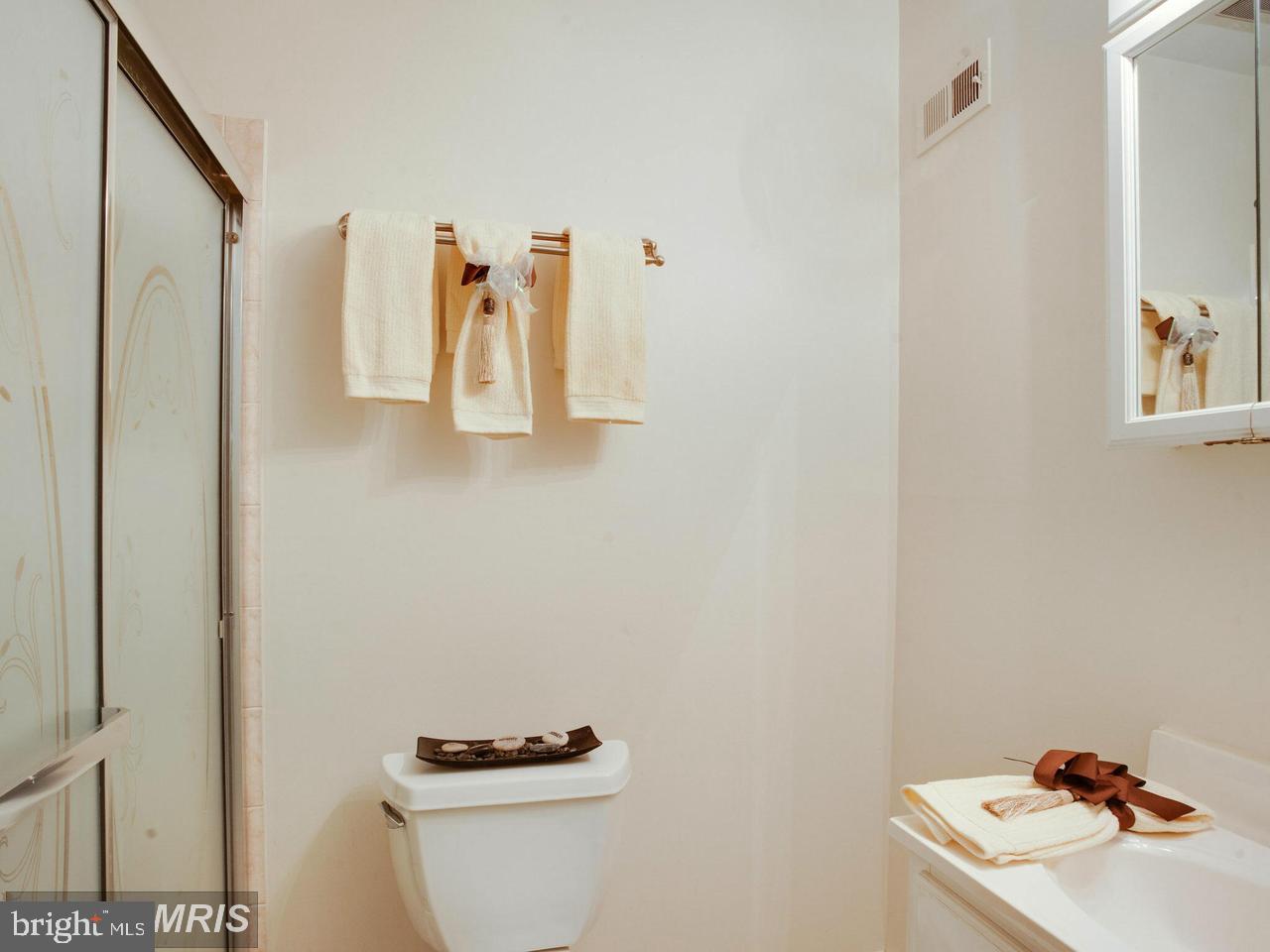 2424 Ansdel Court Reston, VA 20191 - Photo 15 of 25 Master bathroom