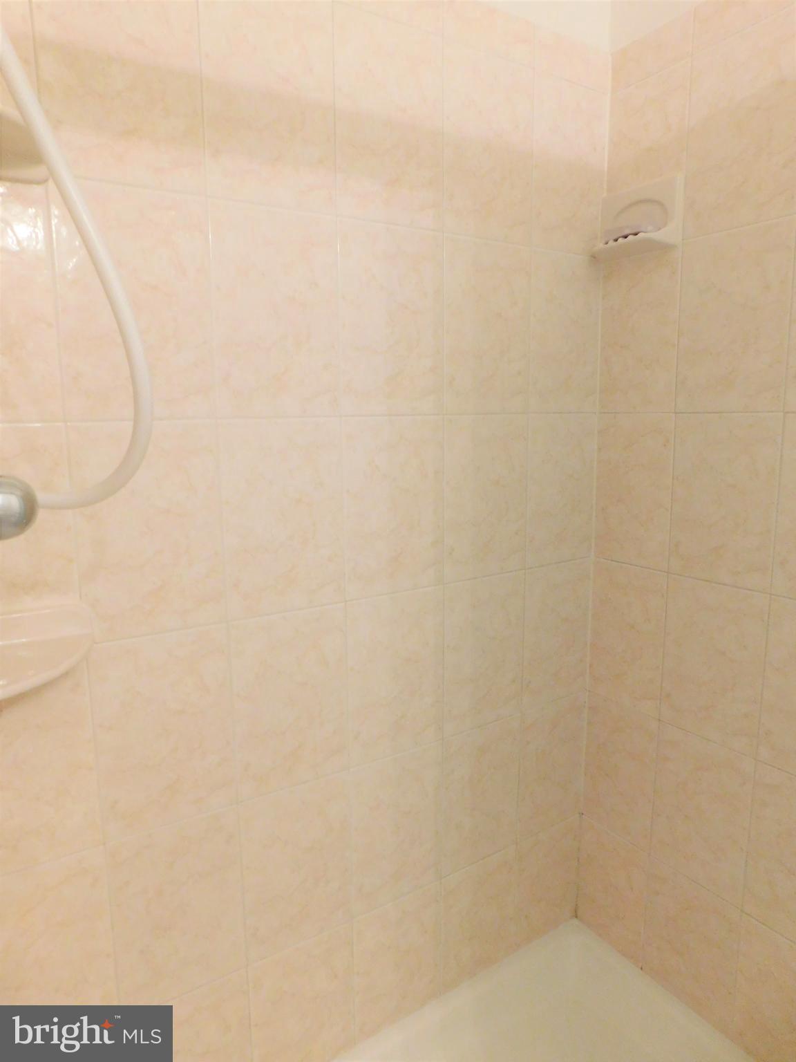 2424 Ansdel Court Reston, VA 20191 - Photo 16 of 25 Master shower