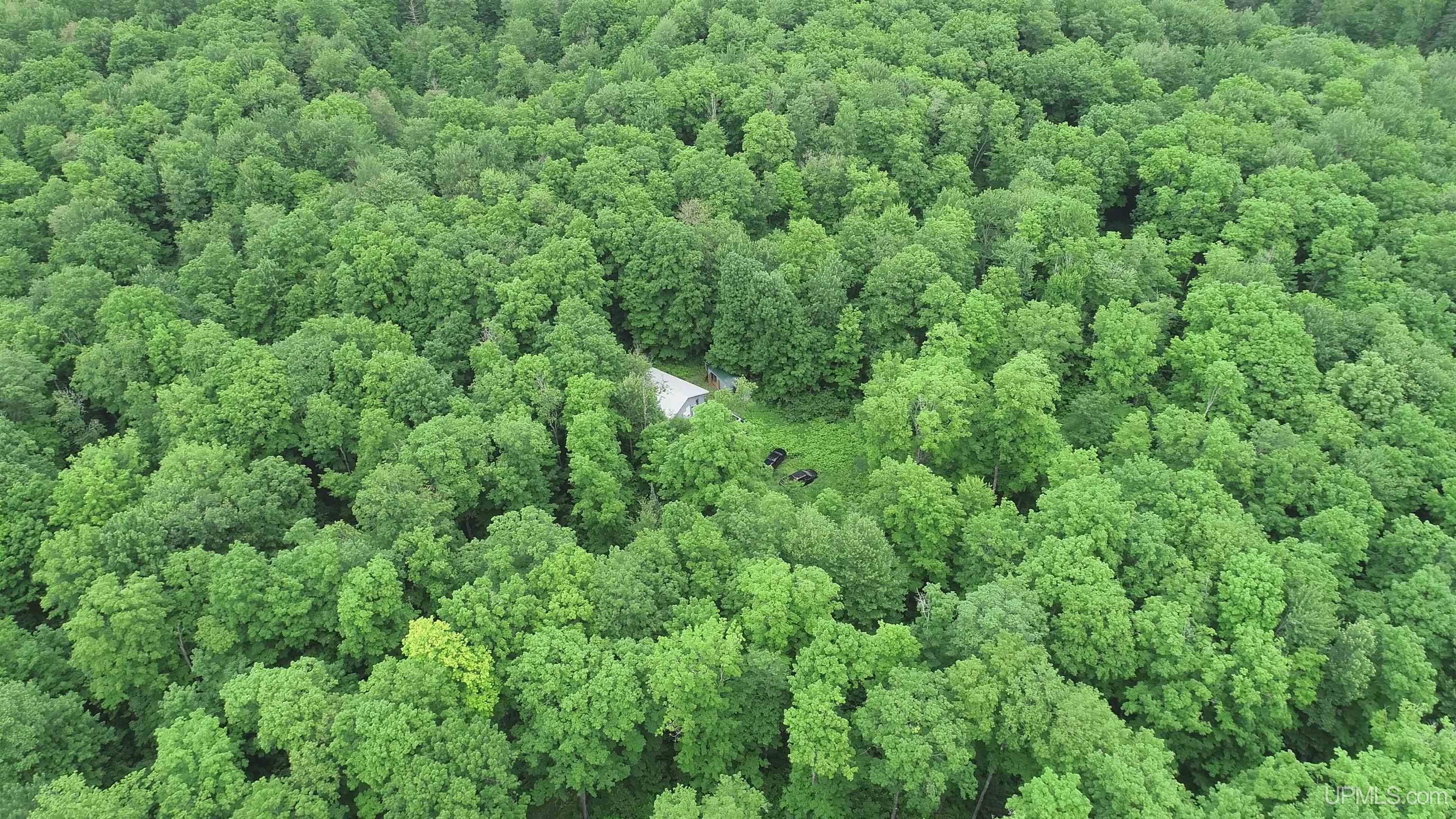 40-acres The Grade Road Crystal Falls, MI 49920 - Photo 39 of 39