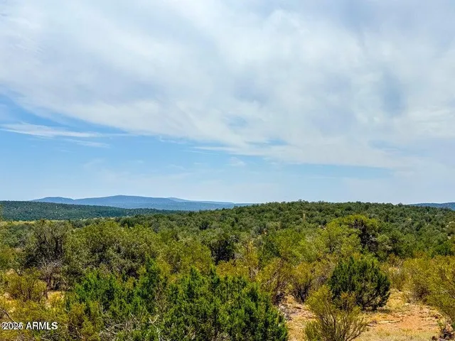 a view of a lake and mountain