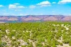 a view of a yard with an tree
