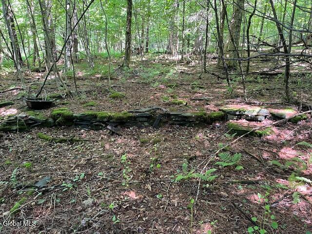 L4.111 Anderson Road Middleburgh, NY 12122 - Photo 23 of 32 IMG_5630