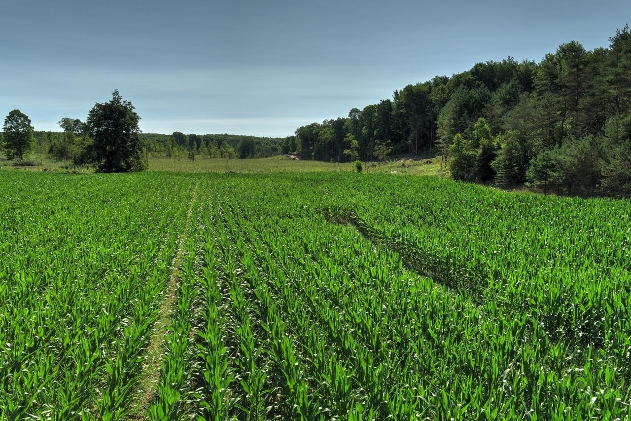 0 West 14th Road Mesick, MI 49668 - Photo 19 of 25