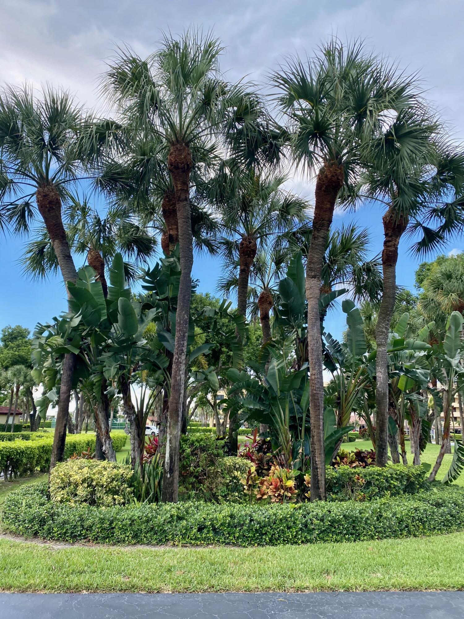 9165 Southwest 14th Street, Unit 1407 Boca Raton, FL 33428 - Photo 40 of 45 IMG_1873