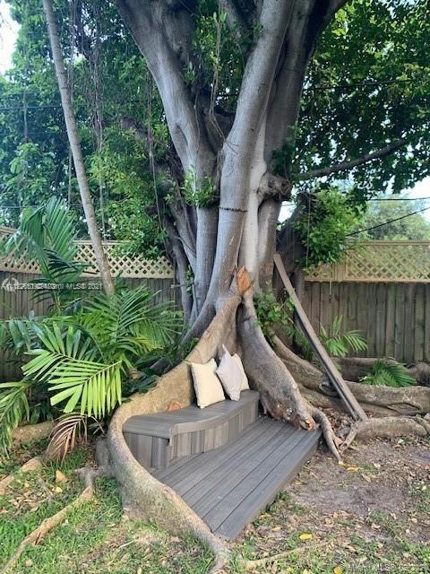 260 Northeast 48th Terrace Miami, FL 33137 - Photo 4 of 14 a house view with a backyard space