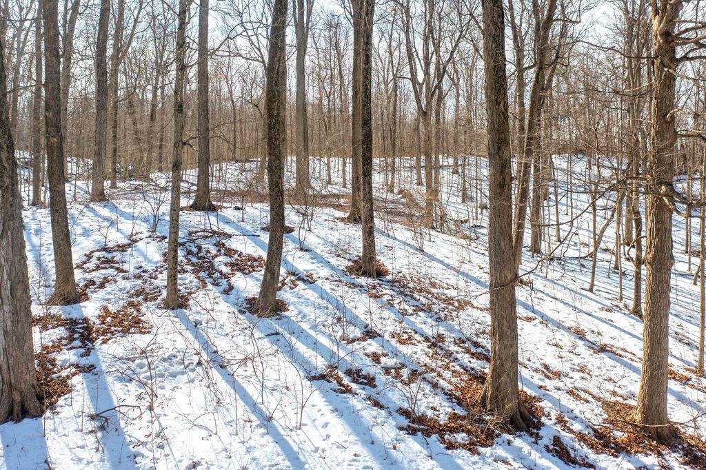 0 Eaglenest Road West Liberty, OH 43357 - Photo 26 of 45