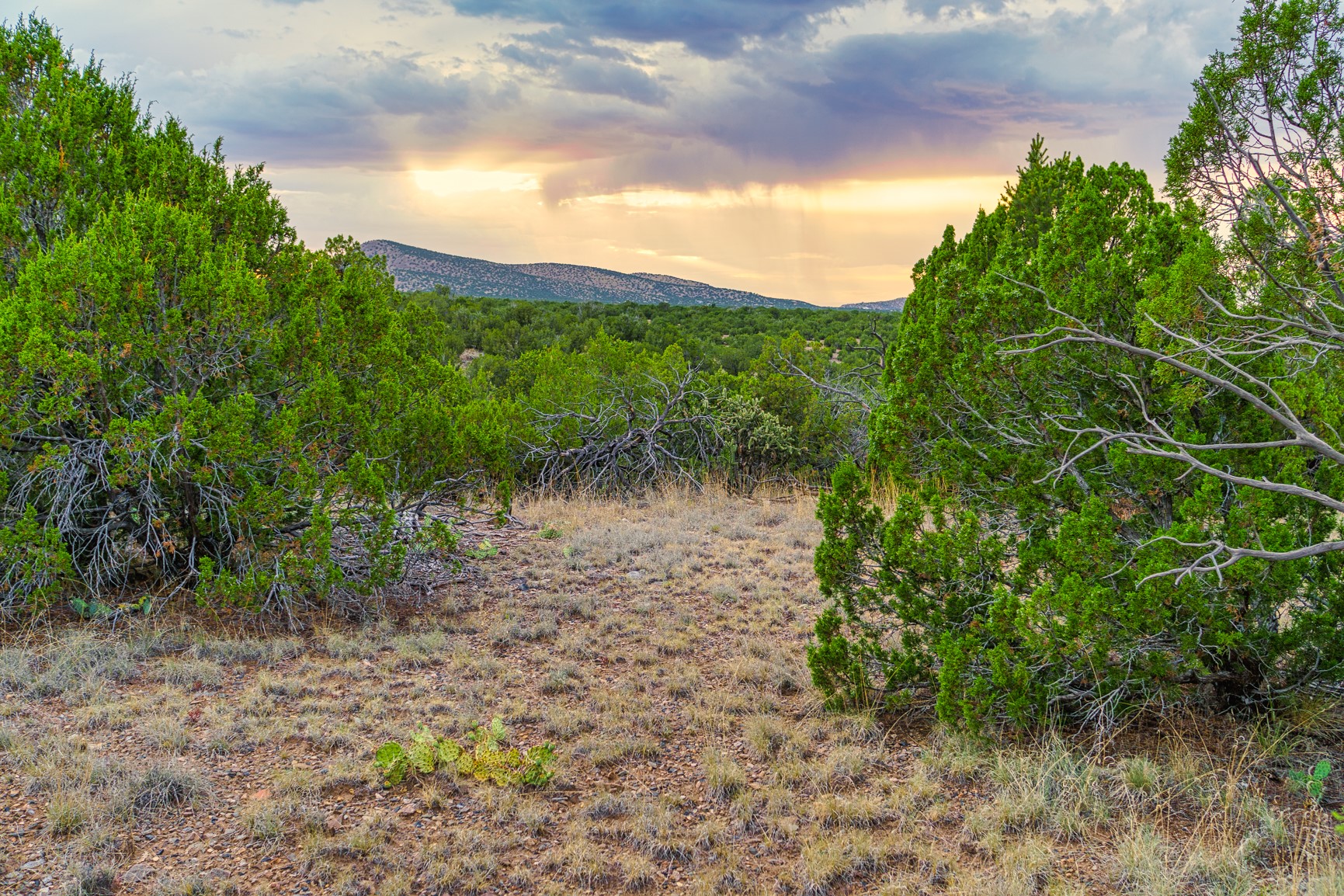 176 Wagon Trail Road Cerrillos, NM 87010 - Photo 24 of 35