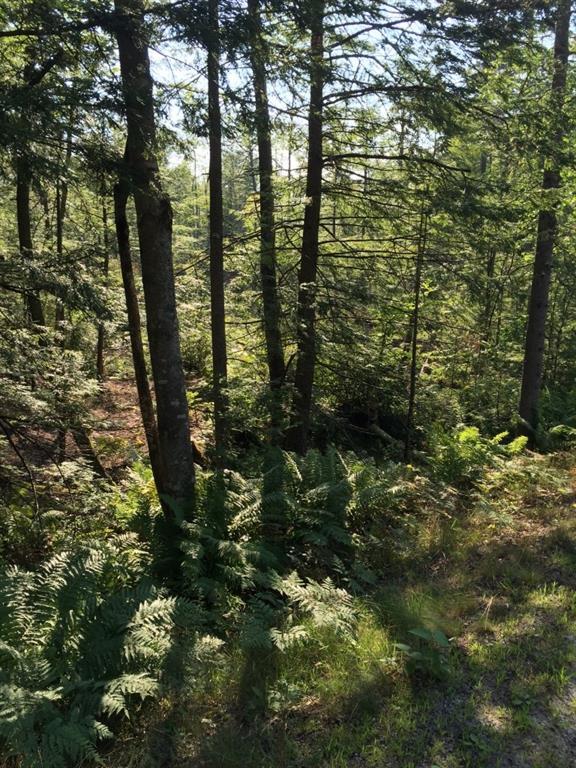 0 Baker Starks, ME 04911 - Photo 2 of 2 Photo