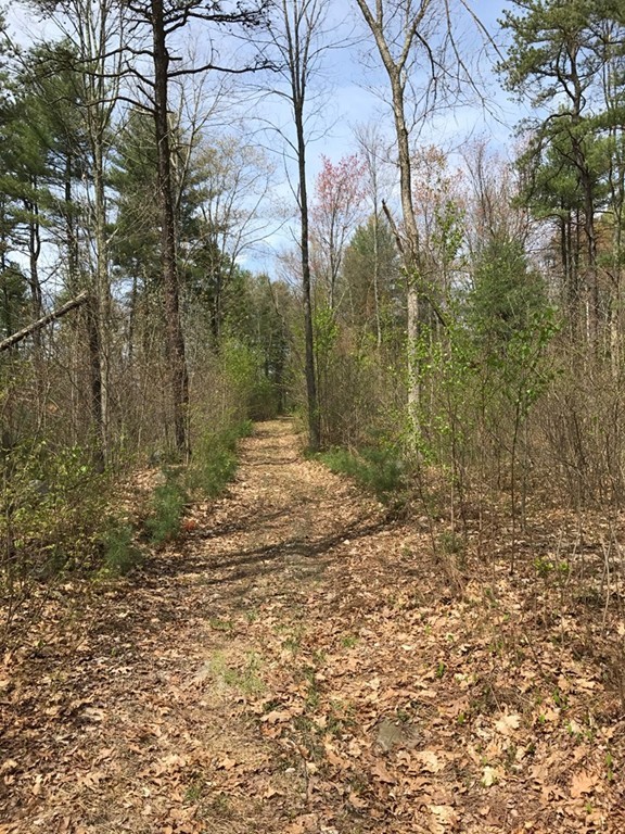 Lot 1 Old Poor Farm Road Ware, MA 01082 - Photo 2 of 13 Gallery Image 2