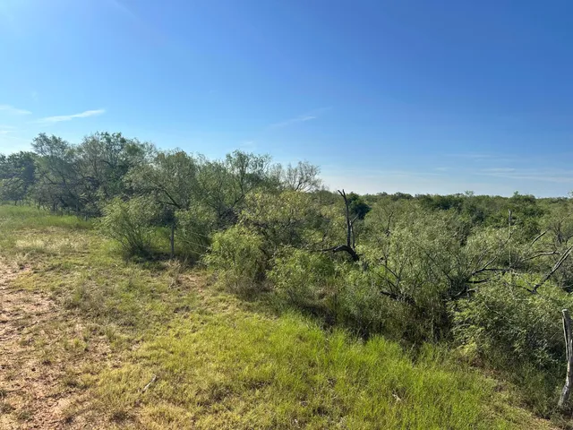 a view of a field with trees in the background