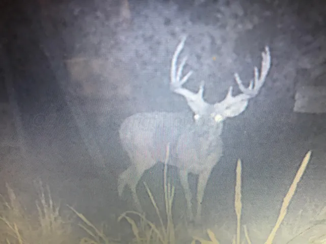 $388,200 | 161.75 Acres Motley Co, Paducah, TX 79248