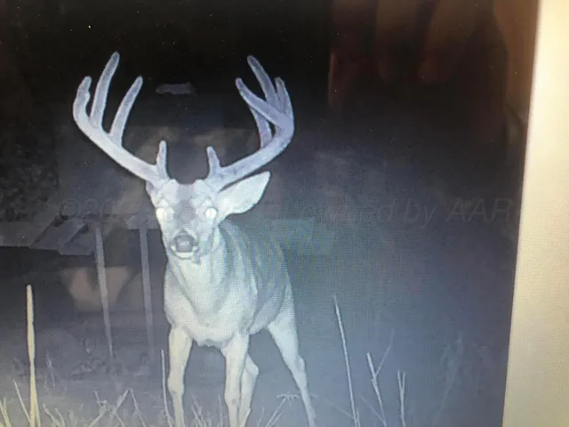 $388,200 | 161.75 Acres Motley Co, Paducah, TX 79248