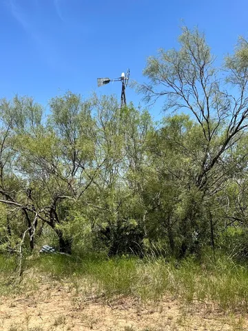 a view of a yard with trees