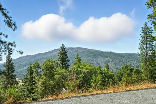 an aerial view of mountain with trees around