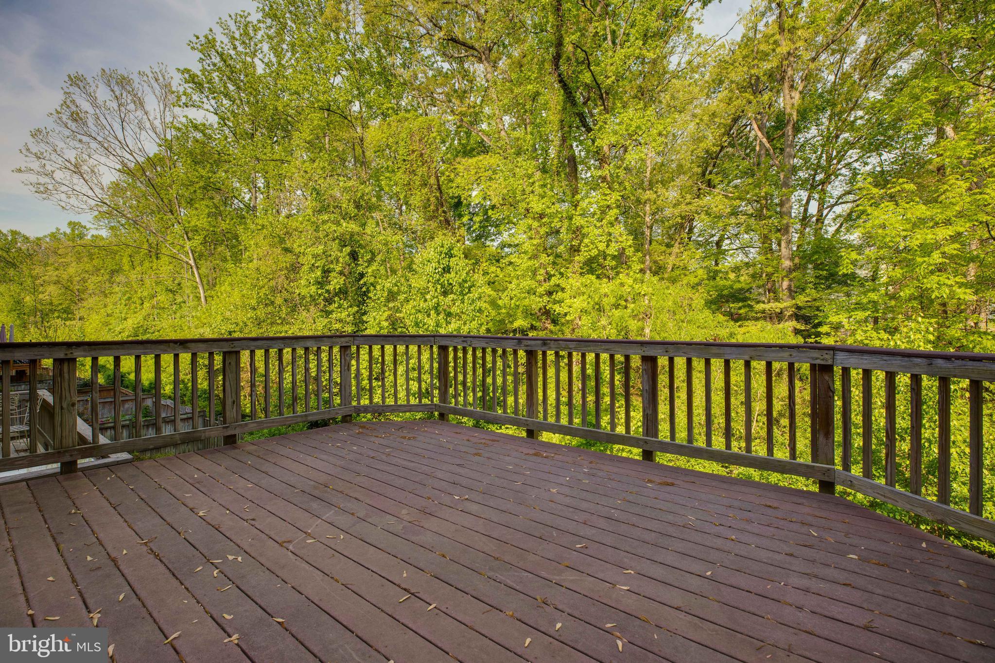 8024 Sleepy View Lane Springfield, VA 22153 - Photo 46 of 48 Gallery Image 46