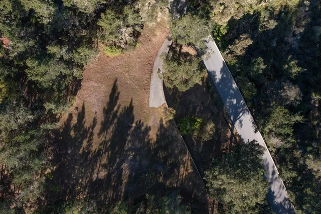 a picture of a person on a park