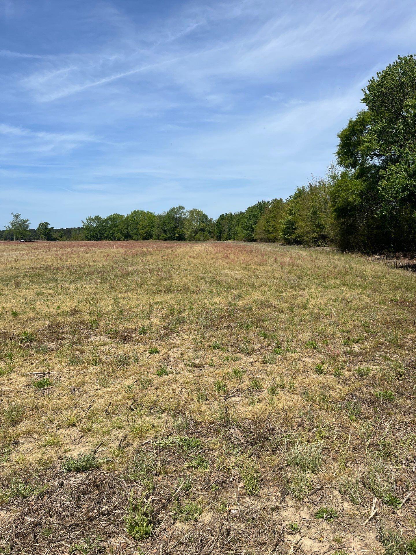 1 Judson Road, Unit MTA 1 Dillon, SC 29536 - Photo 3 of 28
