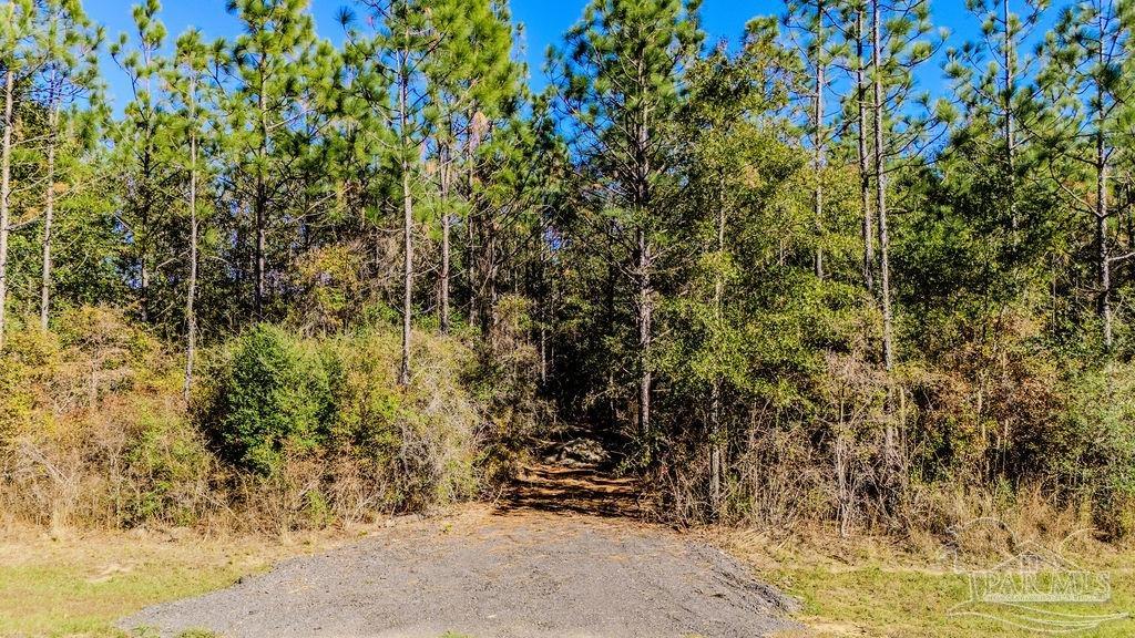 9058 Greyrock Lndg Road Pace, FL 32571 - Photo 1 of 22