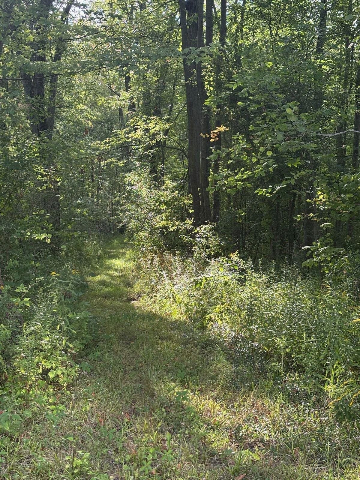 4589 North Geneva Road Coleman, MI 48618 - Photo 28 of 33 Gallery Image 28