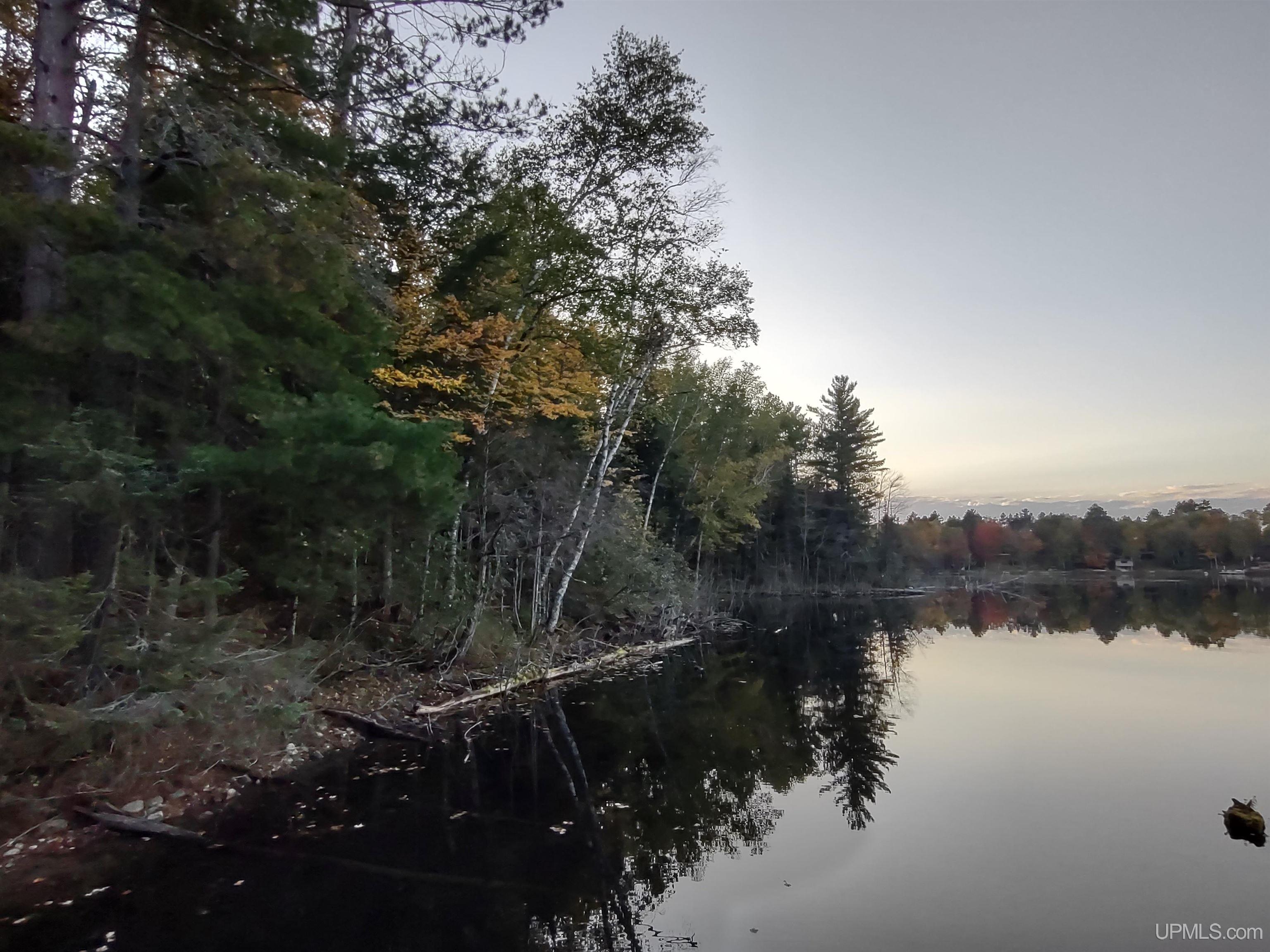 Tbd Long Lake Road Crystal Falls, MI 49920 - Photo 6 of 7 Gallery Image 6