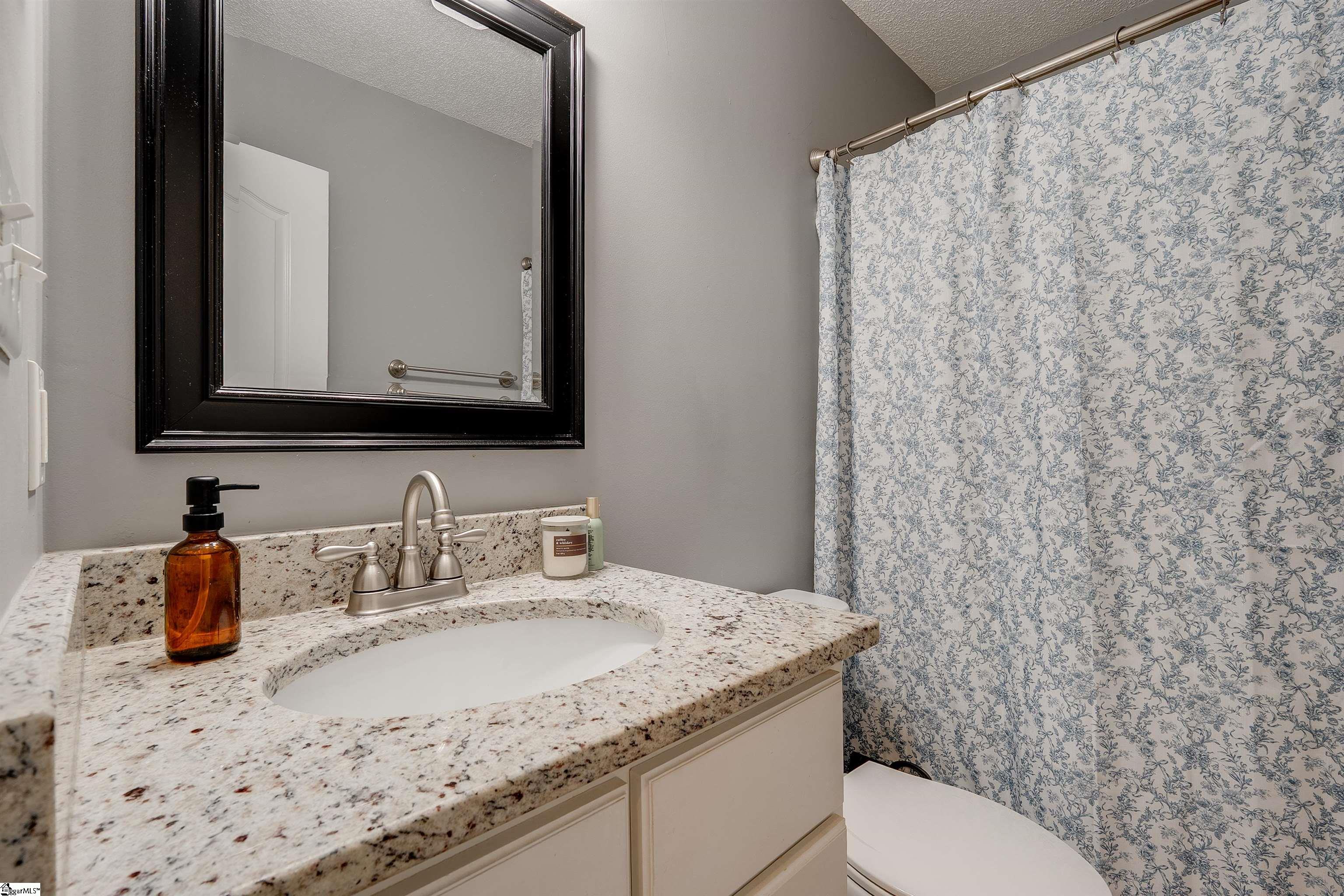 163 Summer Lady Lane Boiling Springs, SC 29316 - Photo 26 of 39