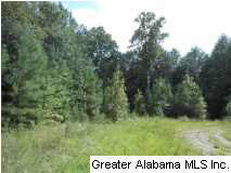 Cheshire Lane Pelham, AL 35124 - Photo 13 of 17