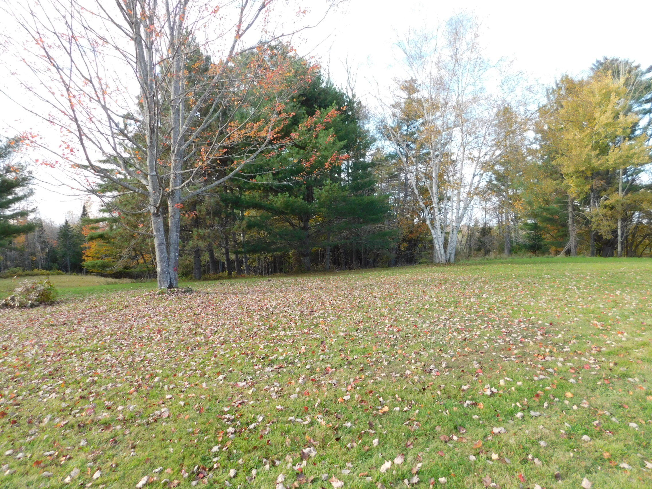 120 Athens Road Harmony, ME 04942 - Photo 21 of 56 DSCN1606