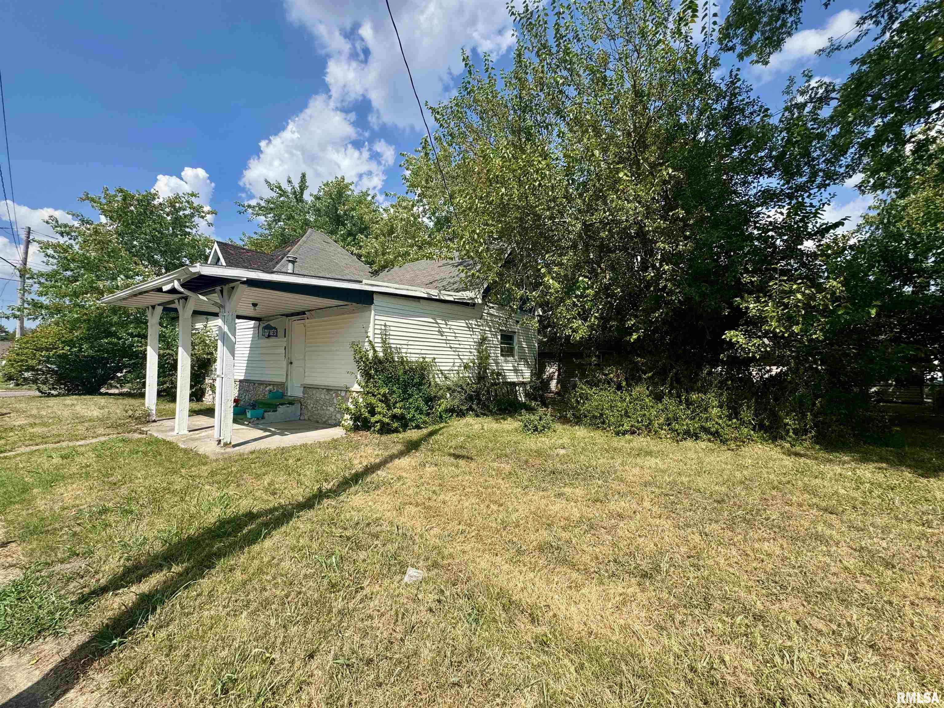 212 West Sylvia Avenue Christopher, IL 62822 - Photo 6 of 20