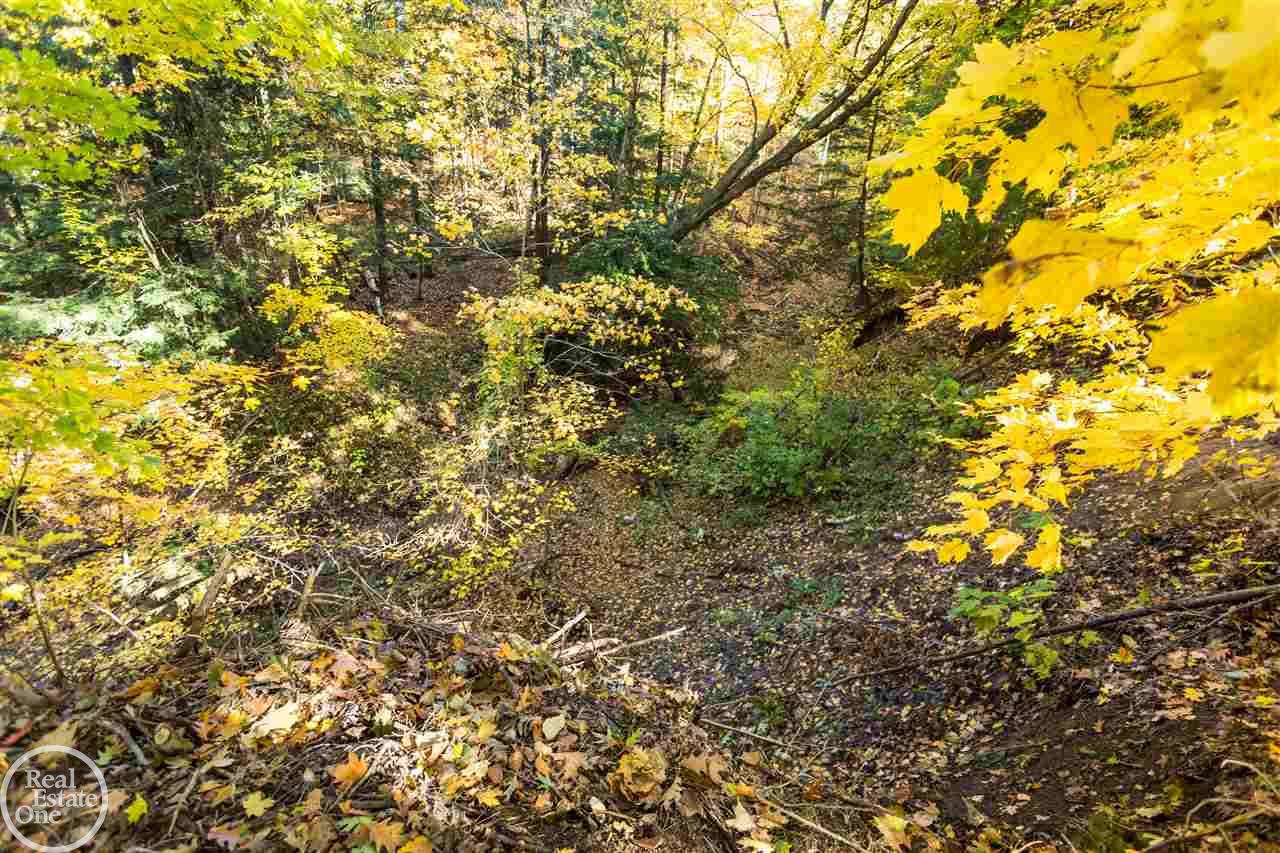 7179 Townsend Road Applegate, MI 48401 - Photo 23 of 77