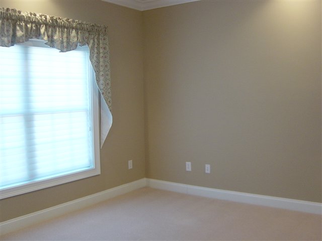 204 Steepleton Way Seneca, SC 29672 - Photo 11 of 20