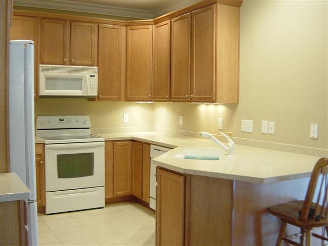 204 Steepleton Way Seneca, SC 29672 - Photo 10 of 20