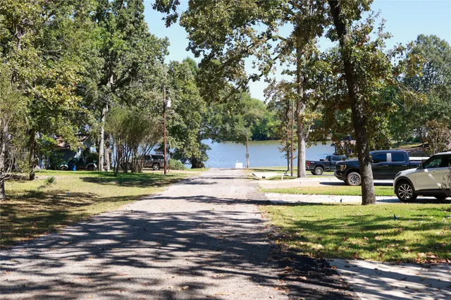 a view of a swimming pool with a lawn chairs and a large tree
