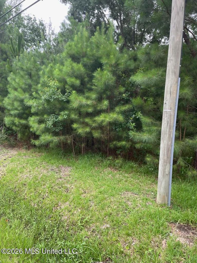 1465 Blue Meadow Road Bay St. Louis, MS 39520 - Photo 5 of 5 IMG_1039