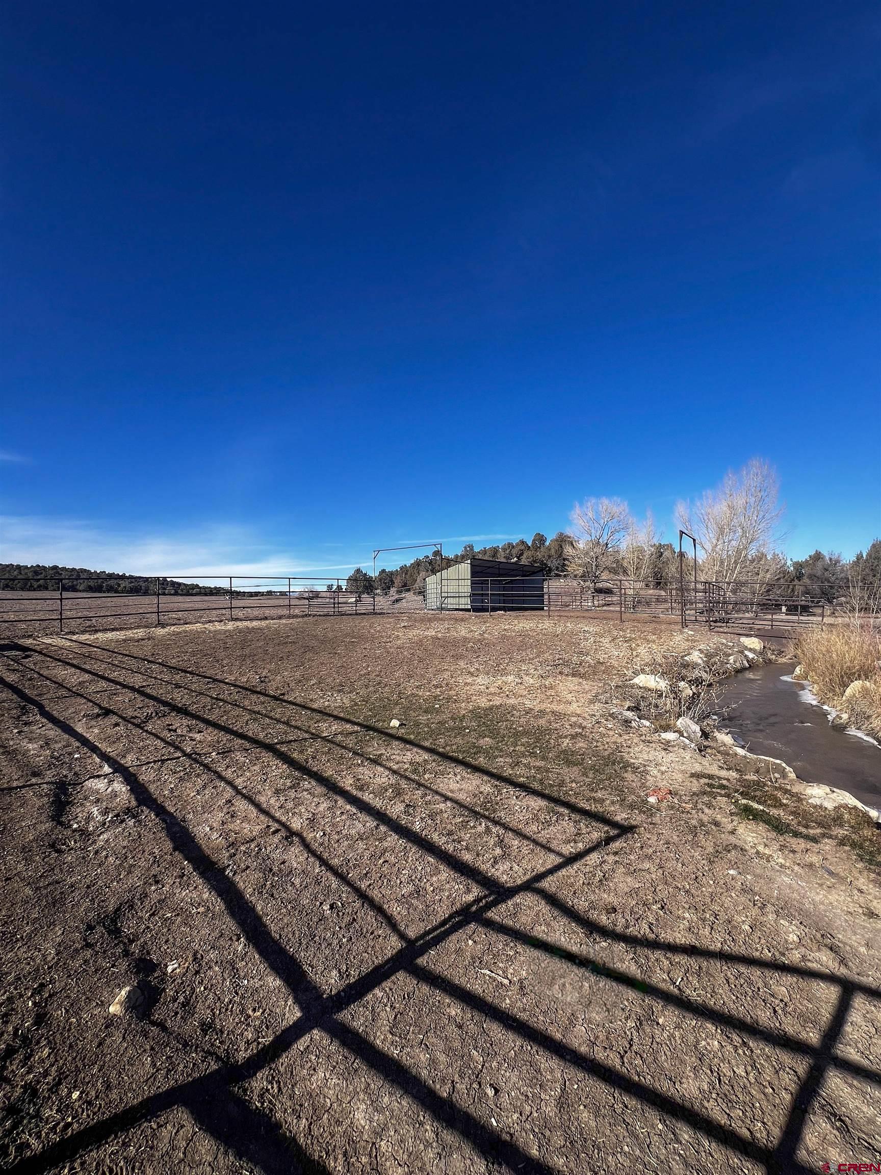3350 County Road 319 Ignacio, CO 81137 - Photo 3 of 14