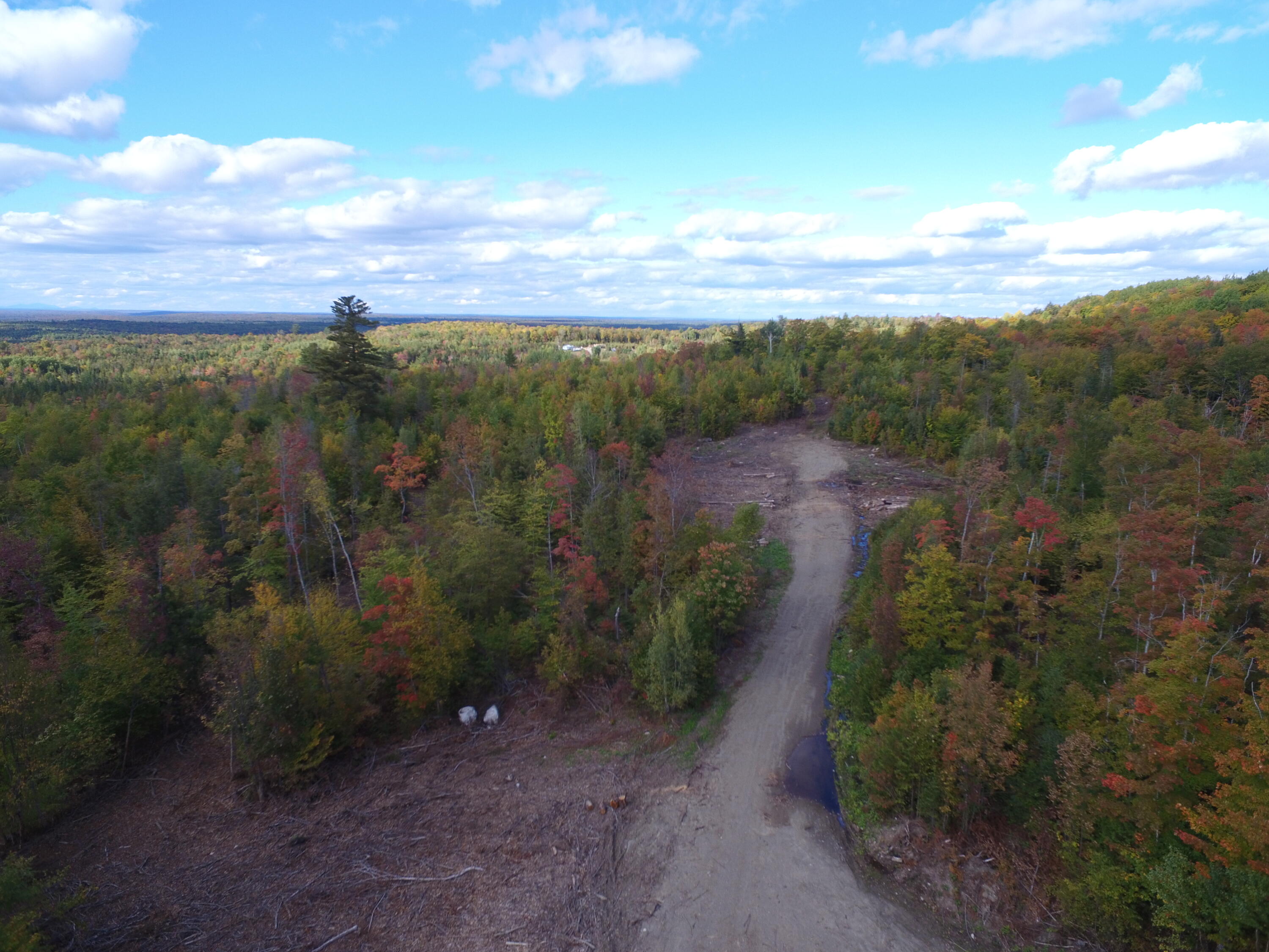 Off Off Clear Cut Lodge Road Springfield, ME 04487 - Photo 4 of 16 DJI_0023