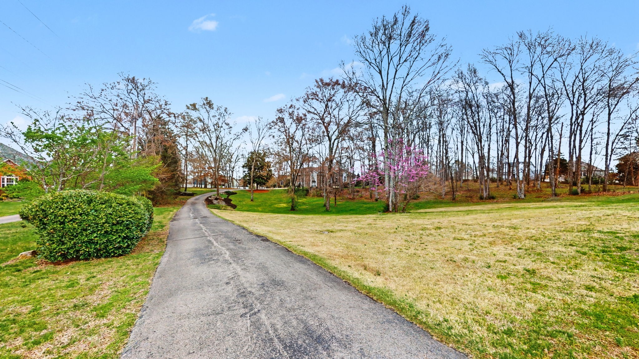 6011 Ocala Road Murfreesboro, TN 37128 - Photo 3 of 54