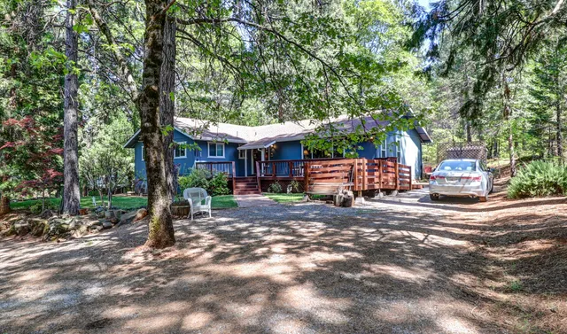 a view of a backyard with table and chairs potted plants and large tree