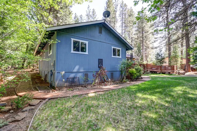 a view of a trees with a big yard