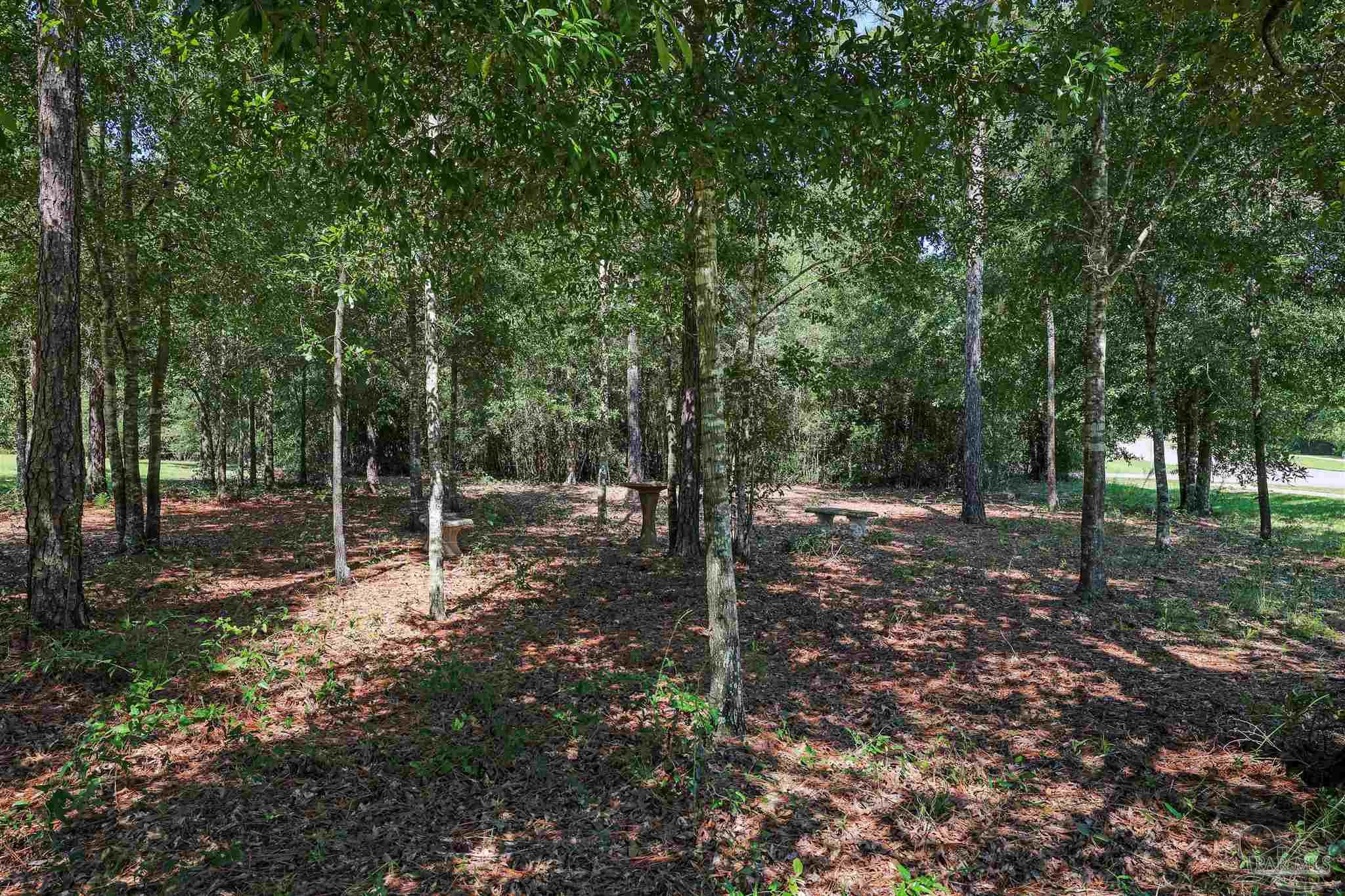 5847 Mossy Creek Lane Pace, FL 32571 - Photo 39 of 50 a backyard of a house with lots of green space