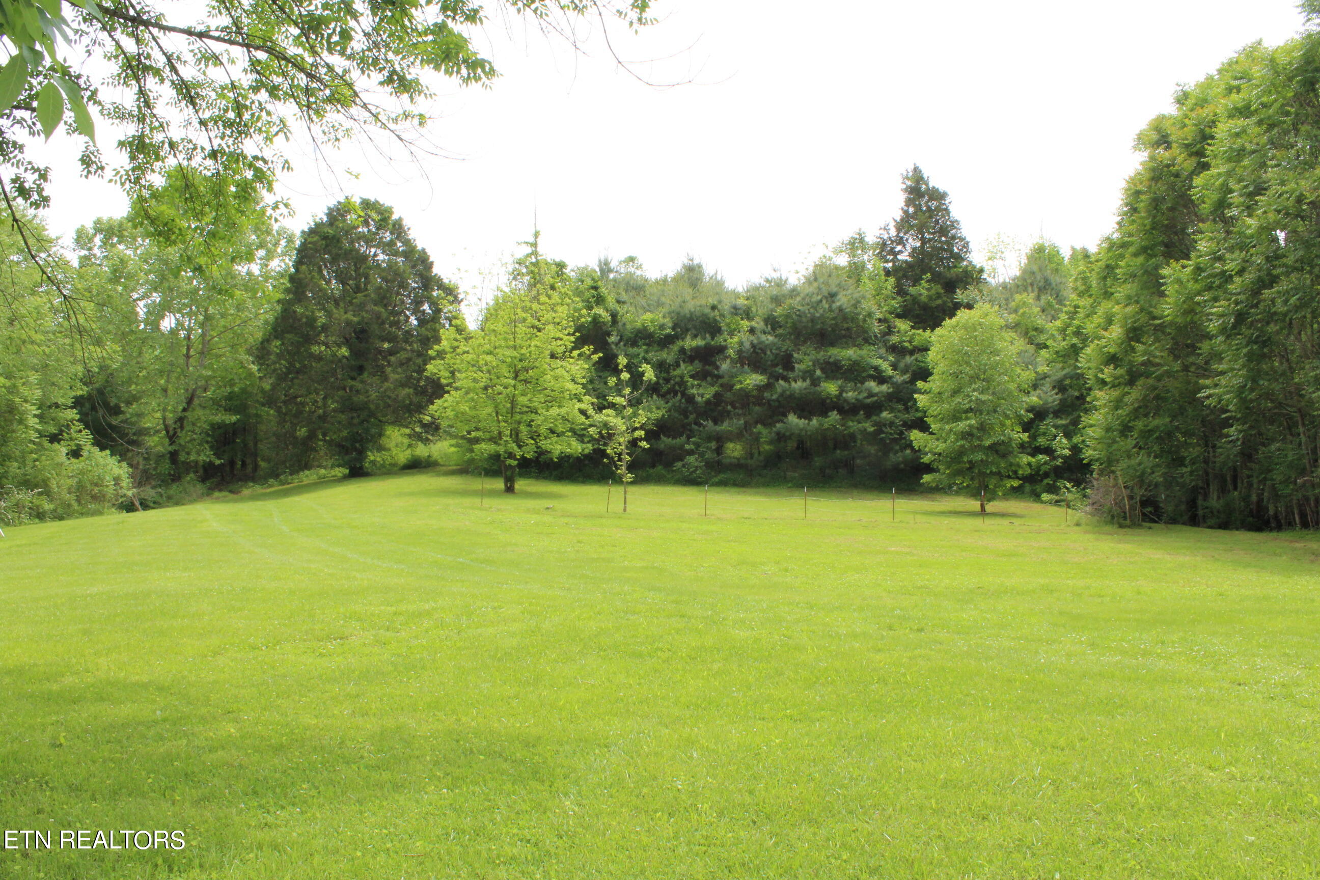 3920 Upper Crab Road Jamestown, TN 38556 - Photo 11 of 49 IMG_5705