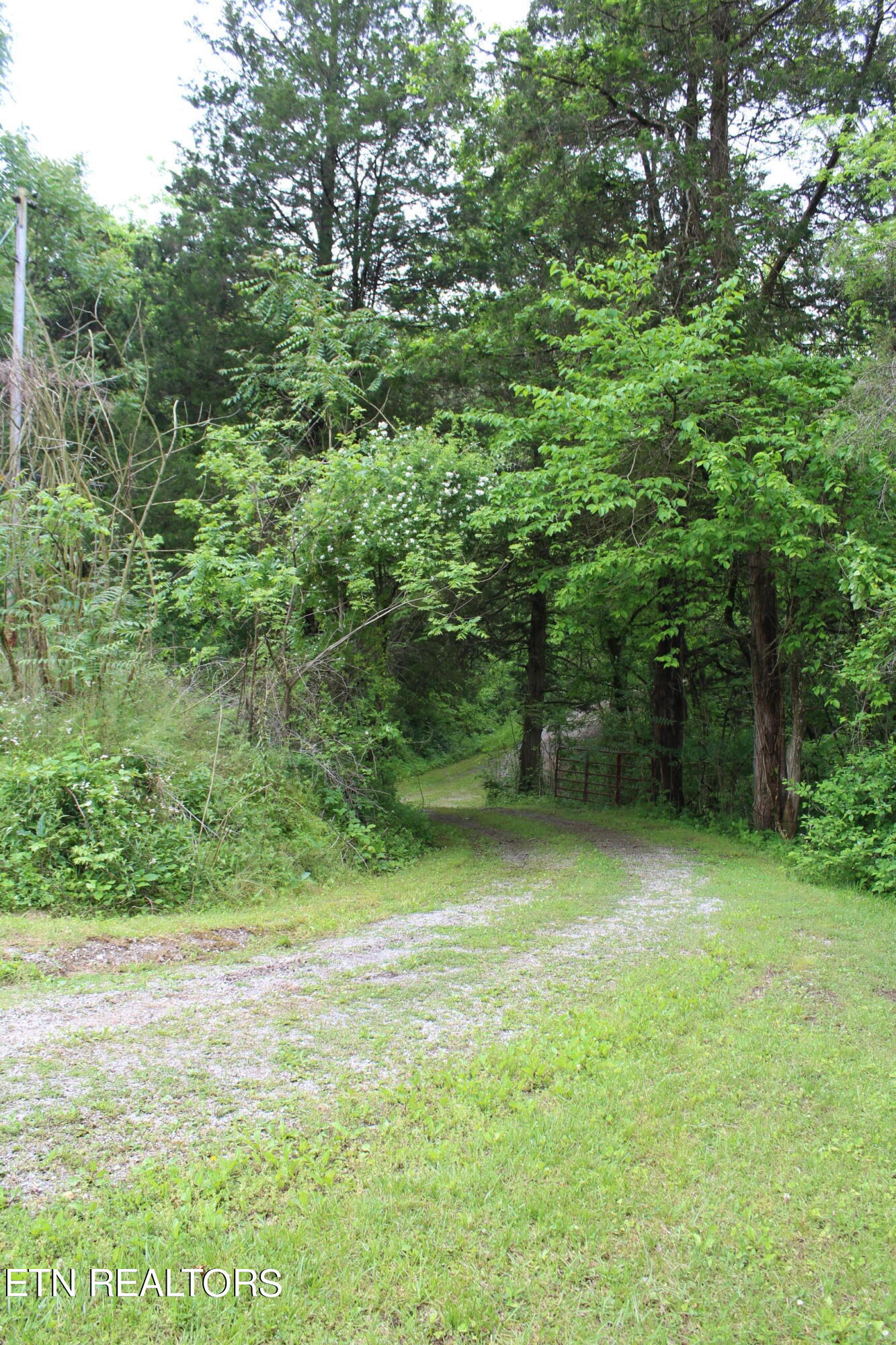 3920 Upper Crab Road Jamestown, TN 38556 - Photo 26 of 49 IMG_5720
