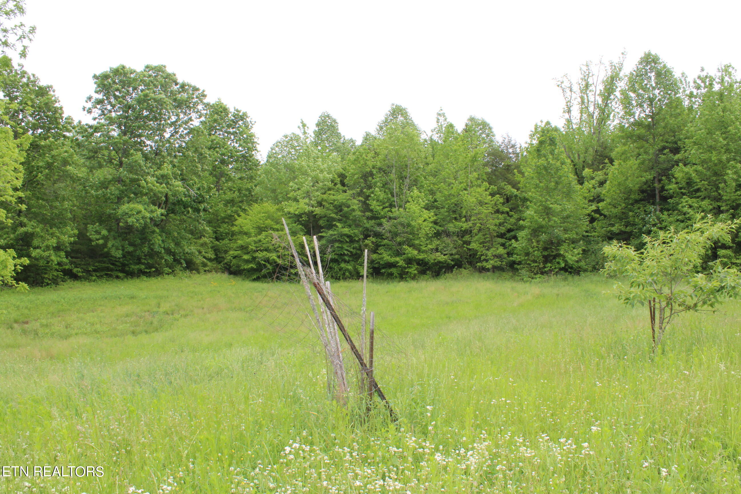 3920 Upper Crab Road Jamestown, TN 38556 - Photo 29 of 49 IMG_5723