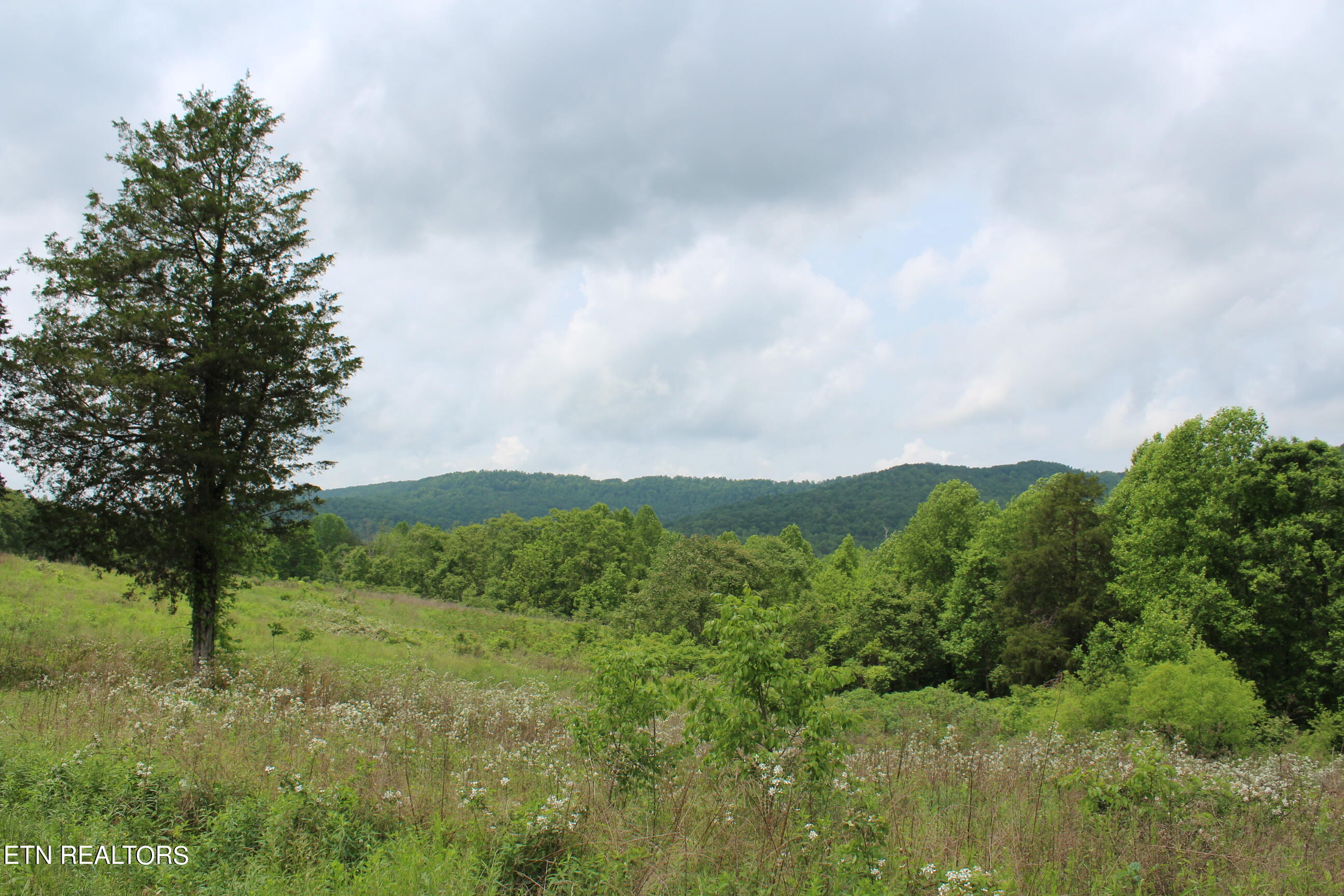 3920 Upper Crab Road Jamestown, TN 38556 - Photo 32 of 49 IMG_5726