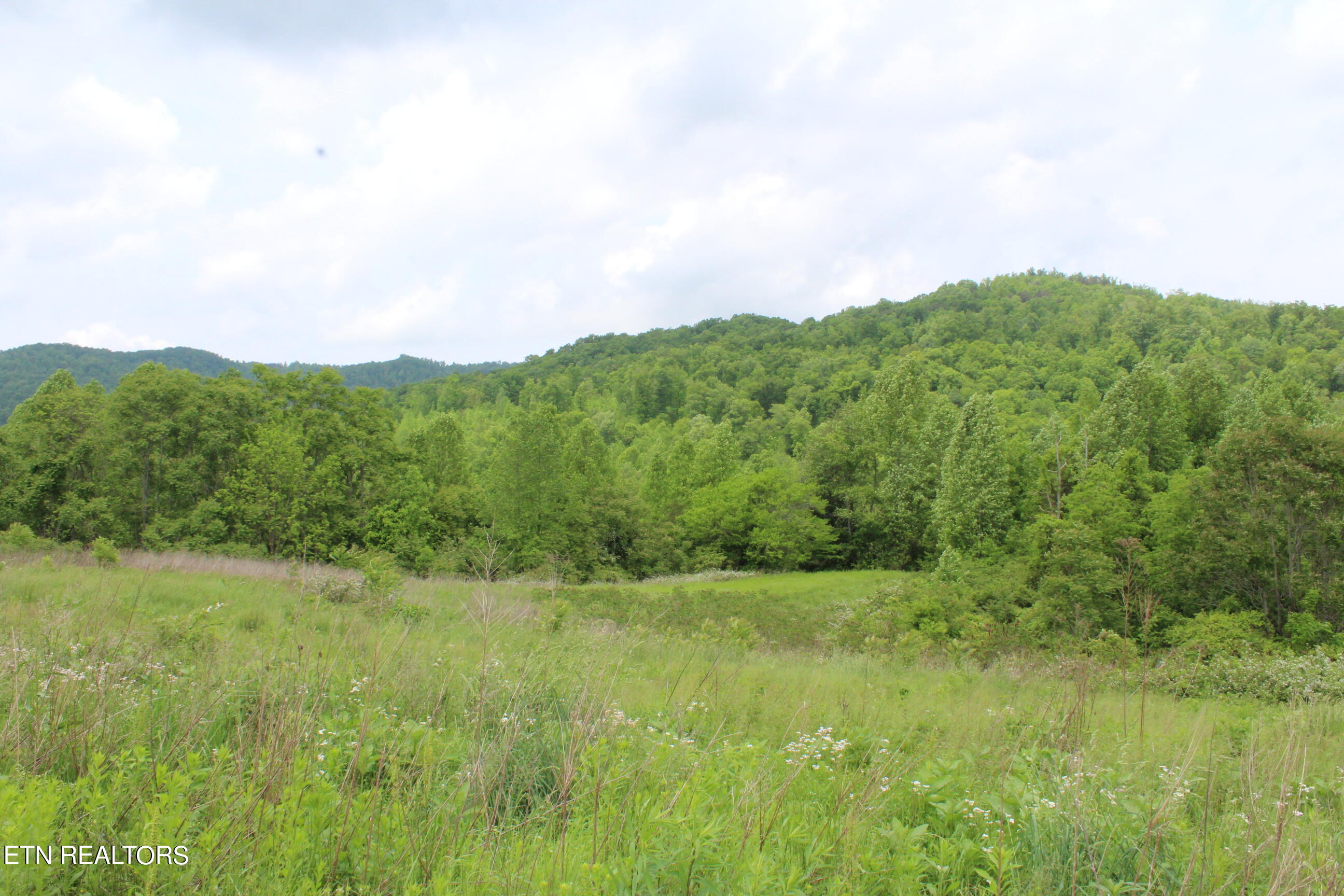 3920 Upper Crab Road Jamestown, TN 38556 - Photo 34 of 49 IMG_5728