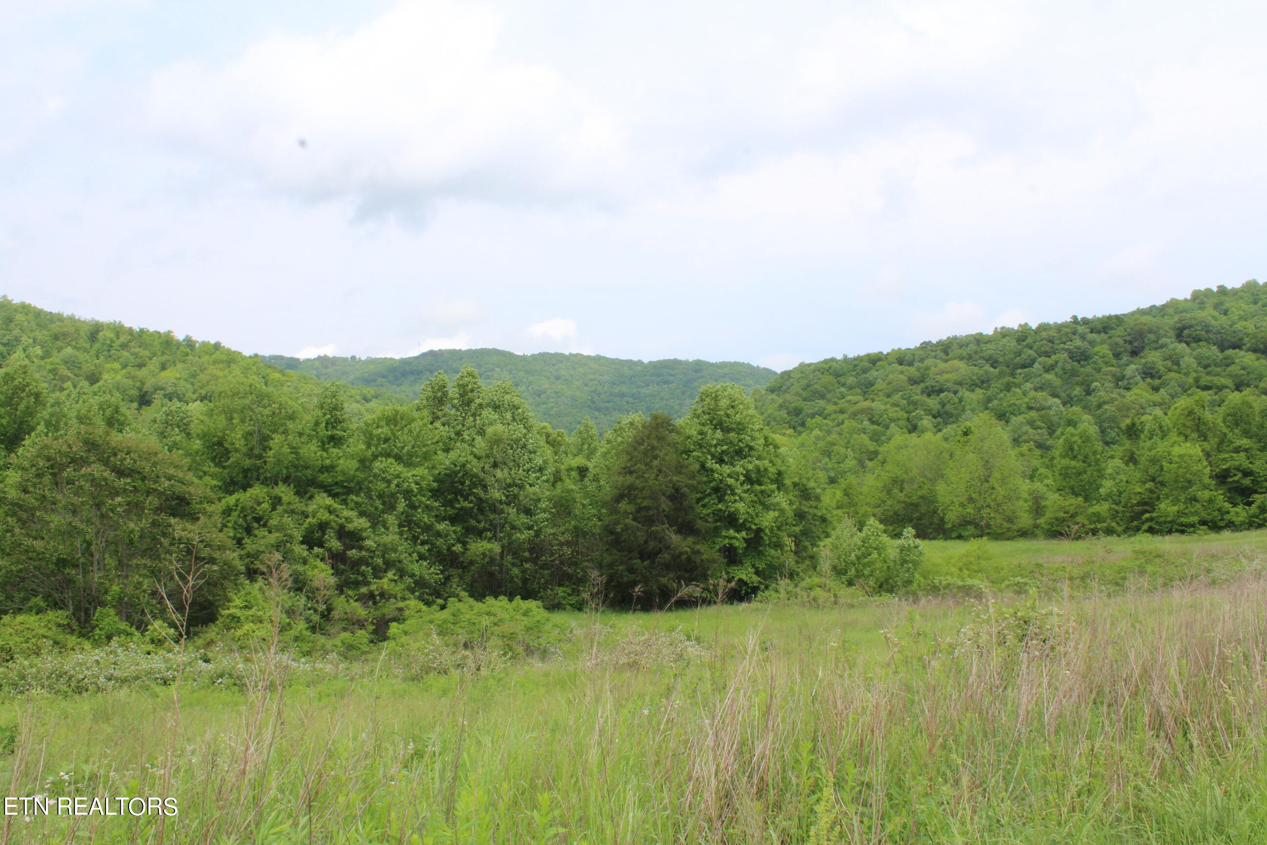 3920 Upper Crab Road Jamestown, TN 38556 - Photo 36 of 49 IMG_5730