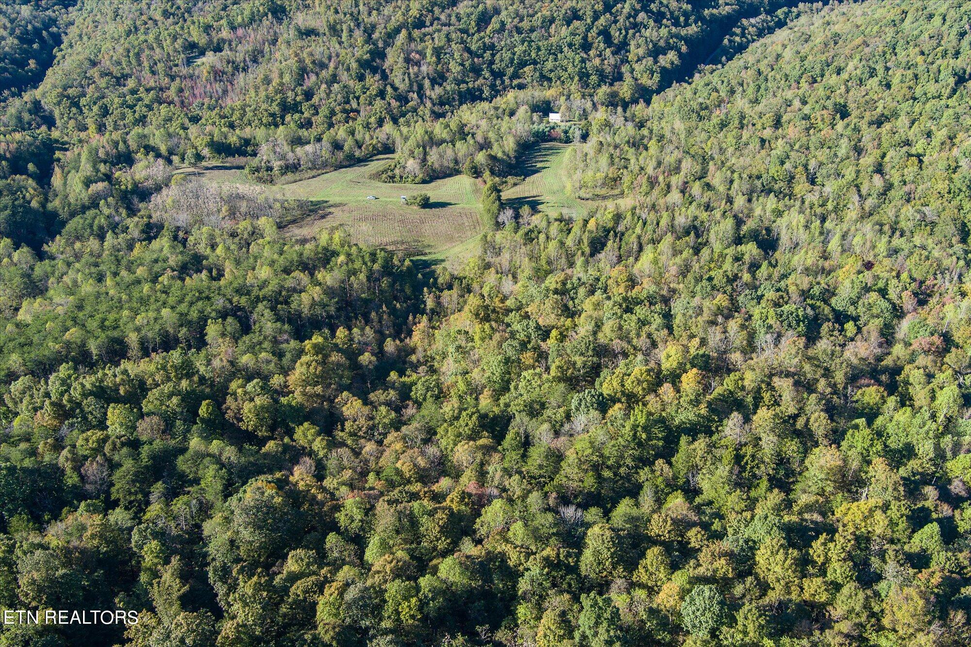 3920 Upper Crab Road Jamestown, TN 38556 - Photo 45 of 49 5-3920 Upper Crab Rd_TNPC_005