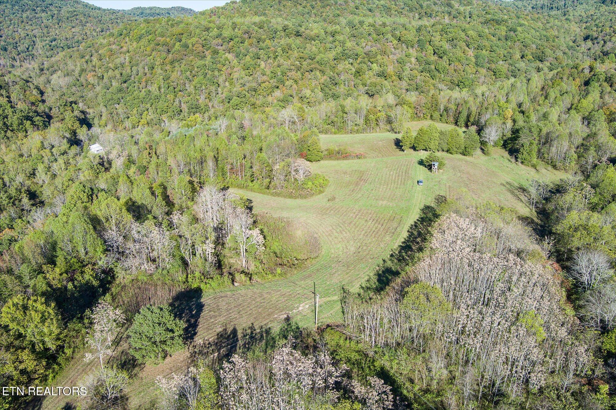 3920 Upper Crab Road Jamestown, TN 38556 - Photo 46 of 49 7-3920 Upper Crab Rd_TNPC_007